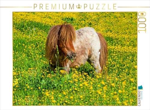 CALVENDO Puzzle EIN Pony in der Sommerwiese in Radstadt | 1000 Teile Lege-Größe 64 x 48 cm Foto-Puzzle für glückliche Stunden von CALVENDO