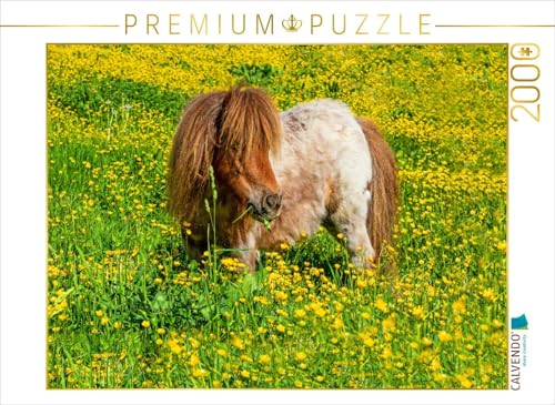 CALVENDO Puzzle EIN Pony in der Sommerwiese in Radstadt | 2000 Teile Lege-Größe 90 x 67 cm Foto-Puzzle für glückliche Stunden von CALVENDO