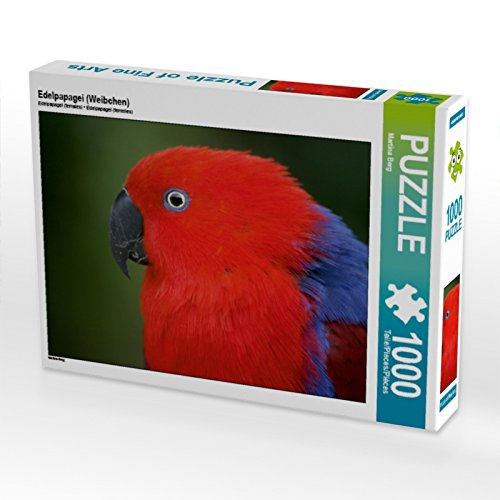 CALVENDO Puzzle Edelpapagei (Weibchen) 1000 Teile Puzzle quer | 1000 Teile Lege-Größe 64 x 48 cm Foto-Puzzle für glückliche Stunden von CALVENDO
