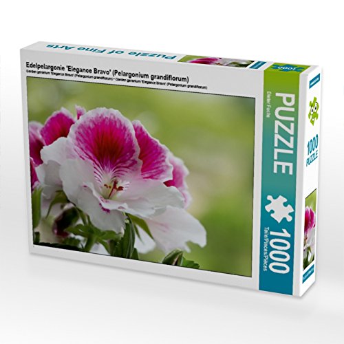 CALVENDO Puzzle Edelpelargonie 'Elegance Bravo' (Pelargonium grandiflorum) 1000 Teile Puzzle quer | 1000 Teile Lege-Größe 64 x 48 cm Foto-Puzzle für glückliche Stunden von CALVENDO