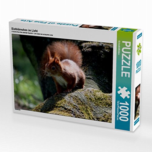 CALVENDO Puzzle Eichhörnchen im Licht 1000 Teile Puzzle quer | 1000 Teile Lege-Größe 64 x 48 cm Foto-Puzzle für glückliche Stunden von CALVENDO