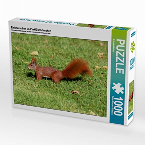 CALVENDO Puzzle Eichhörnchen im ParkEichhörnchen 1000 Teile Puzzle quer | 1000 Teile Lege-Größe 64 x 48 cm Foto-Puzzle für glückliche Stunden CALVENDO Puzzle Eichhörnchen im ParkEichhörnchen 1000 Teile Puzzle quer | 1000 Teile Lege-Größe 64 x 48 cm Foto-Puzzle für glückliche Stunden von CALVENDO