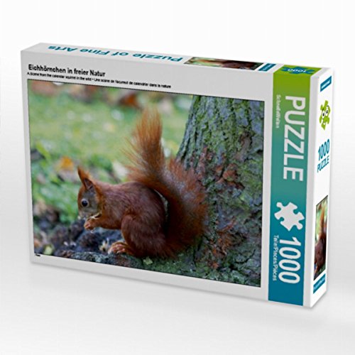 CALVENDO Puzzle Eichhörnchen in freier Natur 1000 Teile Puzzle quer | 1000 Teile Lege-Größe 64 x 48 cm Foto-Puzzle für glückliche Stunden von CALVENDO
