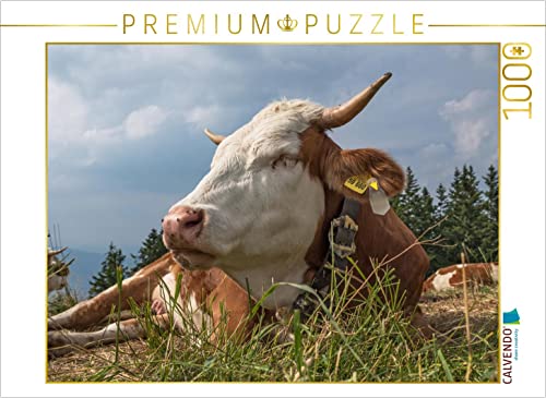 CALVENDO Puzzle Ein Motiv aus dem Kalender Sehnsuchtsziel Berge - Unterwegs in den Bergwelt rund um München 1000 Teile Puzzle quer | 1000 Teile Lege-Größe 64 x 48 cm Foto-Puzzle für glückliche Stunden CALVENDO Puzzle Ein Motiv aus dem Kalender Sehnsuchtsziel Berge - Unterwegs in den Bergwelt rund um München 1000 Teile Puzzle quer | 1000 Teile Lege-Größe 64 x 48 cm Foto-Puzzle für glückliche Stunden von CALVENDO
