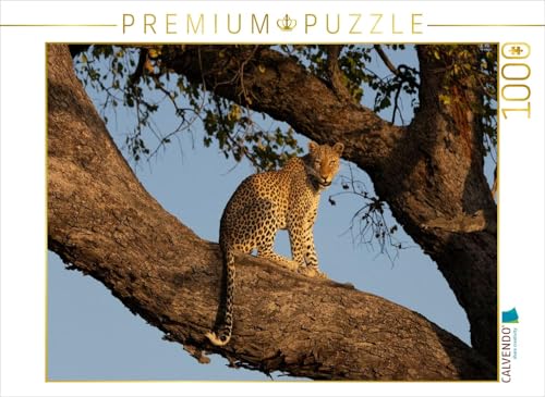 CALVENDO Puzzle Eine Leopardin auf einem Baum am Chobe in Botswana | 1000 Teile Lege-Größe 64 x 48 cm Foto-Puzzle für glückliche Stunden CALVENDO Puzzle Eine Leopardin auf einem Baum am Chobe in Botswana | 1000 Teile Lege-Größe 64 x 48 cm Foto-Puzzle für glückliche Stunden von CALVENDO