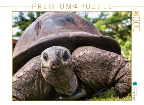 CALVENDO Puzzle Eine der über 300 Seychellen-Riesenschildkröten auf Curieuse | 1000 Teile Lege-Größe 64 x 48 cm Foto-Puzzle für glückliche Stunden CALVENDO Puzzle Eine der über 300 Seychellen-Riesenschildkröten auf Curieuse | 1000 Teile Lege-Größe 64 x 48 cm Foto-Puzzle für glückliche Stunden von CALVENDO