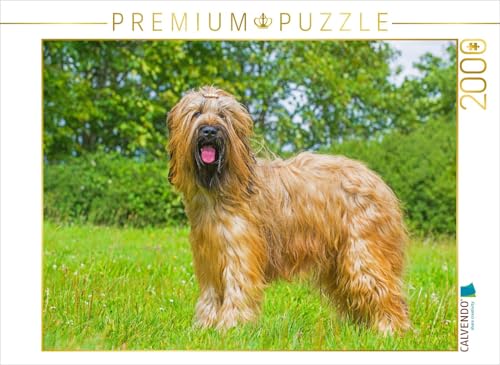 CALVENDO Puzzle Eine wahre Schönheit - Briard | Lege-Größe cm Foto-Puzzle für glückliche Stunden CALVENDO Puzzle Eine wahre Schönheit - Briard | Lege-Größe cm Foto-Puzzle für glückliche Stunden von CALVENDO