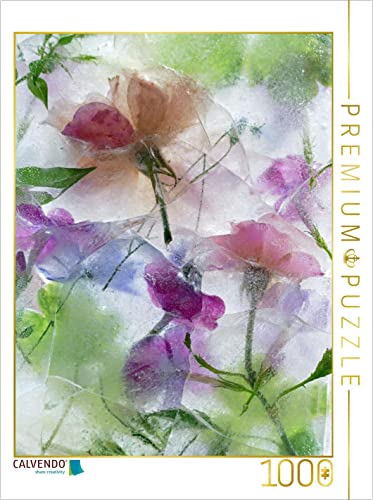CALVENDO Puzzle Eisblumen 1000 Teile Lege-Größe 48 x 64 cm Foto-Puzzle Bild von Birgit Rossi CALVENDO Puzzle Eisblumen 1000 Teile Lege-Größe 48 x 64 cm Foto-Puzzle Bild von Birgit Rossi von CALVENDO