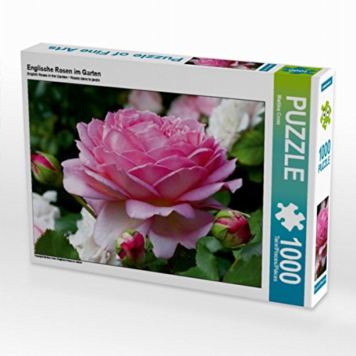 CALVENDO Puzzle Englische Rosen im Garten 1000 Teile Puzzle quer | 1000 Teile Lege-Größe 64 x 48 cm Foto-Puzzle für glückliche Stunden CALVENDO Puzzle Englische Rosen im Garten 1000 Teile Puzzle quer | 1000 Teile Lege-Größe 64 x 48 cm Foto-Puzzle für glückliche Stunden von CALVENDO