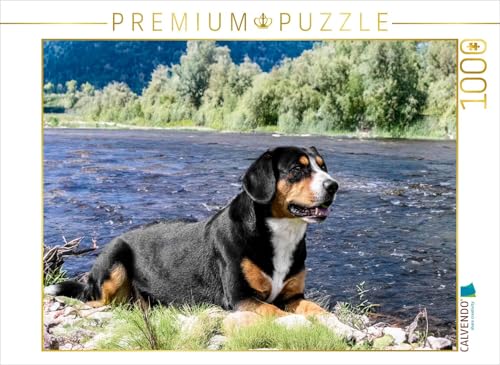 CALVENDO Puzzle Entlebucher Rüde am Fluss | 1000 Teile Lege-Größe 64 x 48 cm Foto-Puzzle für glückliche Stunden CALVENDO Puzzle Entlebucher Rüde am Fluss | 1000 Teile Lege-Größe 64 x 48 cm Foto-Puzzle für glückliche Stunden von CALVENDO