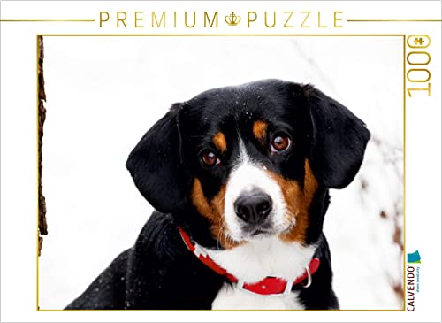 CALVENDO Puzzle Entlebucher Sennenhund 1000 Teile Lege-Größe 64 x 48 cm Foto-Puzzle Bild von SchnelleWelten CALVENDO Puzzle Entlebucher Sennenhund 1000 Teile Lege-Größe 64 x 48 cm Foto-Puzzle Bild von SchnelleWelten von CALVENDO