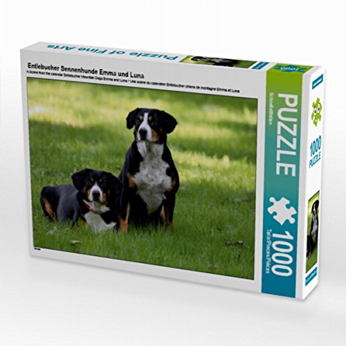 CALVENDO Puzzle Entlebucher Sennenhunde Emma und Luna 1000 Teile Puzzle quer | Lege-Größe cm Foto-Puzzle für glückliche Stunden CALVENDO Puzzle Entlebucher Sennenhunde Emma und Luna 1000 Teile Puzzle quer | Lege-Größe cm Foto-Puzzle für glückliche Stunden von CALVENDO