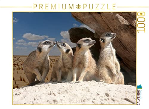 CALVENDO Puzzle Erdmännchen in der Wüste 1000 Teile Puzzle quer | Lege-Größe cm Foto-Puzzle für glückliche Stunden von CALVENDO
