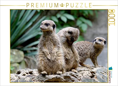 CALVENDO Puzzle Erdmännchen - kleine Wachposten 1000 Teile Puzzle quer | 1000 Teile Lege-Größe 64 x 48 cm Foto-Puzzle für glückliche Stunden CALVENDO Puzzle Erdmännchen - kleine Wachposten 1000 Teile Puzzle quer | 1000 Teile Lege-Größe 64 x 48 cm Foto-Puzzle für glückliche Stunden von CALVENDO