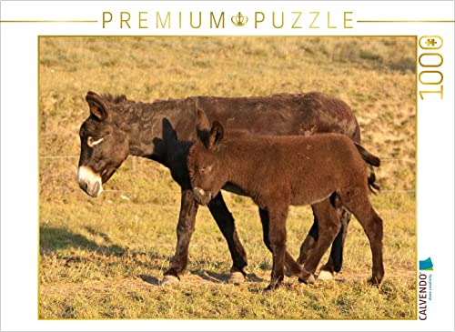 CALVENDO Puzzle Eselstute mit Fohlen 1000 Teile Puzzle quer | 1000 Teile Lege-Größe 64 x 48 cm Foto-Puzzle für glückliche Stunden von CALVENDO