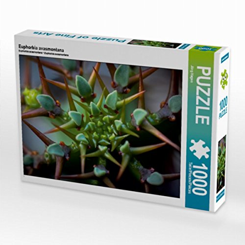 CALVENDO Puzzle Euphorbia avasmontana 1000 Teile Lege-Größe 64 x 48 cm Foto-Puzzle Bild von Jörg Hagen von CALVENDO