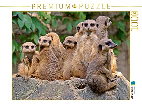 CALVENDO Puzzle Familienbande Erdmännchen 1000 Teile Puzzle quer | Lege-Größe cm Foto-Puzzle für glückliche Stunden von CALVENDO
