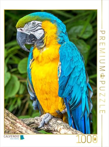 CALVENDO Puzzle Farbenfrohe Papageien: Gelbbrust-Ara. 1000 Teile Lege-Größe 48 x 64 cm Foto-Puzzle Bild Verlag von CALVENDO