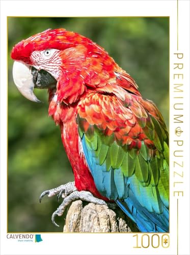 CALVENDO Puzzle Farbenfrohe Papageien: Grünflügel-Ara. 1000 Teile Lege-Größe 48 x 64 cm Foto-Puzzle Bild Verlag von CALVENDO