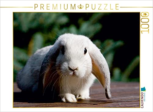 CALVENDO Puzzle Farbenzwerg 1000 Teile Puzzle quer | 1000 Teile Lege-Größe 64 x 48 cm Foto-Puzzle für glückliche Stunden von CALVENDO