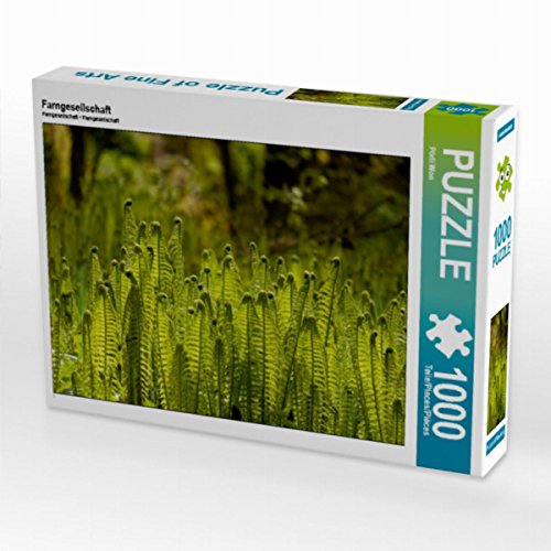 CALVENDO Puzzle Farngesellschaft 1000 Teile Lege-Größe 64 x 48 cm Foto-Puzzle Bild von Pörli Won CALVENDO Puzzle Farngesellschaft 1000 Teile Lege-Größe 64 x 48 cm Foto-Puzzle Bild von Pörli Won von CALVENDO