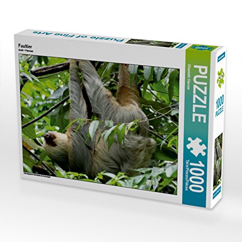 CALVENDO Puzzle Faultier 1000 Teile Lege-Größe 64 x 48 cm Foto-Puzzle Bild von Elisabeth Stanzer CALVENDO Puzzle Faultier 1000 Teile Lege-Größe 64 x 48 cm Foto-Puzzle Bild von Elisabeth Stanzer von CALVENDO