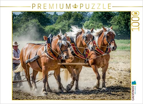 CALVENDO Puzzle Feldarbeit zu Pferde 1000 Teile Puzzle quer | 1000 Teile Lege-Größe 64 x 48 cm Foto-Puzzle für glückliche Stunden CALVENDO Puzzle Feldarbeit zu Pferde 1000 Teile Puzzle quer | 1000 Teile Lege-Größe 64 x 48 cm Foto-Puzzle für glückliche Stunden von CALVENDO