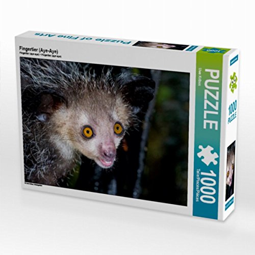 CALVENDO Puzzle Fingertier (Aye-Aye) 1000 Teile Puzzle quer | Lege-Größe cm Foto-Puzzle für glückliche Stunden von CALVENDO