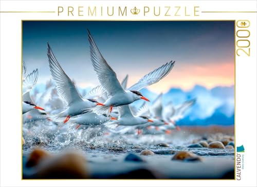 CALVENDO Puzzle Flug an die Küste | 2000 Teile Lege-Größe 90 x 67 cm Foto-Puzzle für glückliche Stunden von CALVENDO