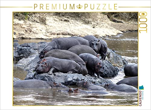 CALVENDO Puzzle Flusspferde – felsiger Rastplatz 1000 Teile Puzzle quer | 1000 Teile Lege-Größe 64 x 48 cm Foto-Puzzle für glückliche Stunden von CALVENDO