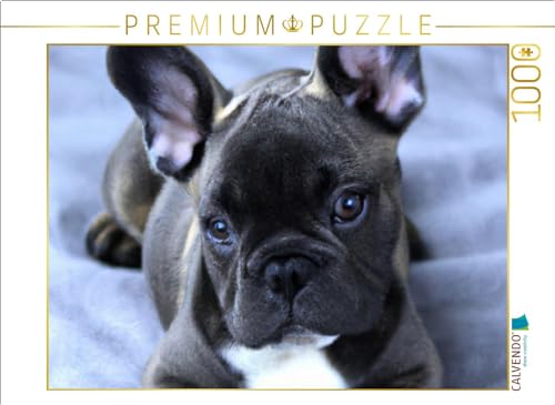 CALVENDO Puzzle Französische Bulldogge | 1000 Teile Lege-Größe 64 x 48 cm Foto-Puzzle für glückliche Stunden CALVENDO Puzzle Französische Bulldogge | 1000 Teile Lege-Größe 64 x 48 cm Foto-Puzzle für glückliche Stunden von CALVENDO