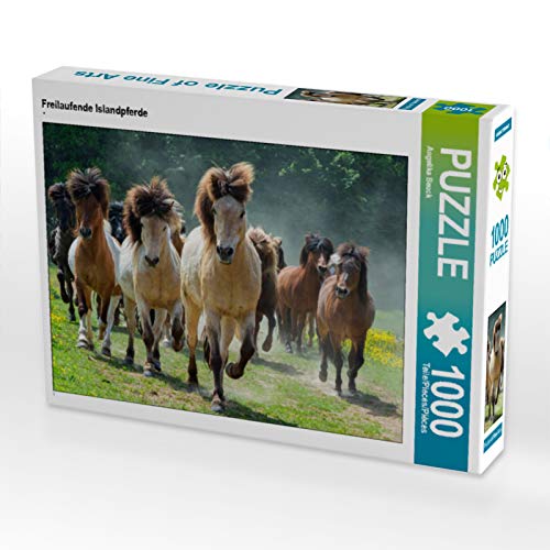 CALVENDO Puzzle Freilaufende Islandpferde 1000 Teile Puzzle quer | 1000 Teile Lege-Größe 64 x 48 cm Foto-Puzzle für glückliche Stunden von CALVENDO