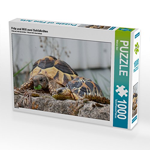 CALVENDO Puzzle Fritz und Willi Zwei Schildkröten 1000 Teile Puzzle quer | Lege-Größe cm Foto-Puzzle für glückliche Stunden von CALVENDO