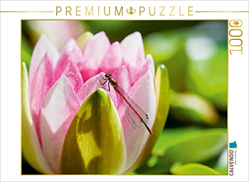 CALVENDO Puzzle Frühe Adonislibelle an Einer Seerose. 1000 Teile Lege-Größe 64 x 48 cm Foto-Puzzle Bild von wiblicke CALVENDO Puzzle Frühe Adonislibelle an Einer Seerose. 1000 Teile Lege-Größe 64 x 48 cm Foto-Puzzle Bild von wiblicke von CALVENDO