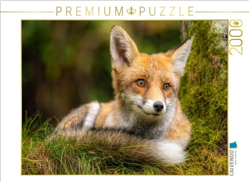 CALVENDO Puzzle Fuchs | 2000 Teile Lege-Größe 90 x 67 cm Foto-Puzzle für glückliche Stunden von CALVENDO