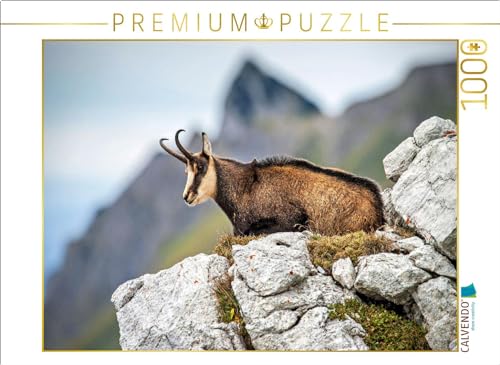 CALVENDO Puzzle Gämse | Lege-Größe cm Foto-Puzzle für glückliche Stunden von CALVENDO