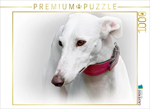 CALVENDO Puzzle Galgo Español (Spanischer Windhund) 1000 Teile Puzzle quer | 1000 Teile Lege-Größe 64 x 48 cm Foto-Puzzle für glückliche Stunden von CALVENDO