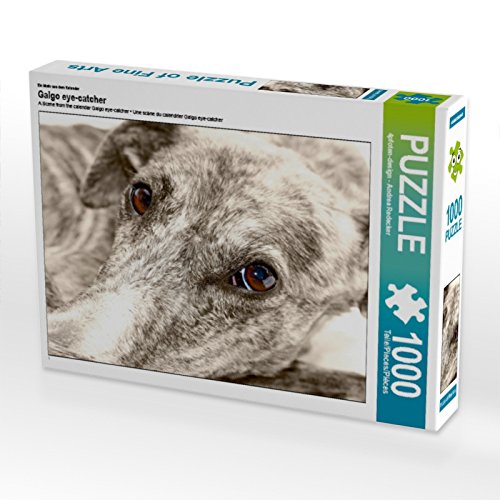 CALVENDO Puzzle EIN Motiv aus dem Kalender Galgo Eye-Catcher 1000 Teile Puzzle quer | 1000 Teile Lege-Größe 64 x 48 cm Foto-Puzzle für glückliche Stunden CALVENDO Puzzle EIN Motiv aus dem Kalender Galgo Eye-Catcher 1000 Teile Puzzle quer | 1000 Teile Lege-Größe 64 x 48 cm Foto-Puzzle für glückliche Stunden von CALVENDO