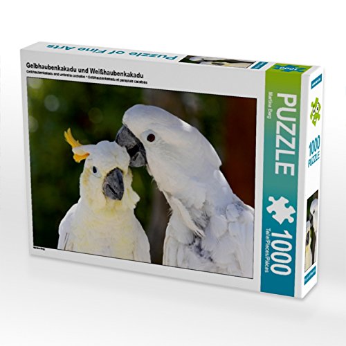 CALVENDO Puzzle Gelbhaubenkakadu und Weißhaubenkakadu 1000 Teile Puzzle quer | 1000 Teile Lege-Größe 64 x 48 cm Foto-Puzzle für glückliche Stunden CALVENDO Puzzle Gelbhaubenkakadu und Weißhaubenkakadu 1000 Teile Puzzle quer | 1000 Teile Lege-Größe 64 x 48 cm Foto-Puzzle für glückliche Stunden von CALVENDO