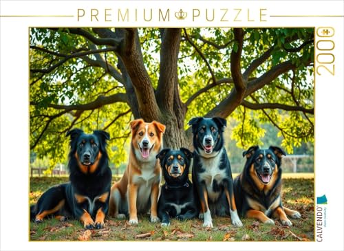 CALVENDO Puzzle Geliebte Promenadenmischungen | 2000 Teile Lege-Größe 90 x 67 cm Foto-Puzzle für glückliche Stunden von CALVENDO