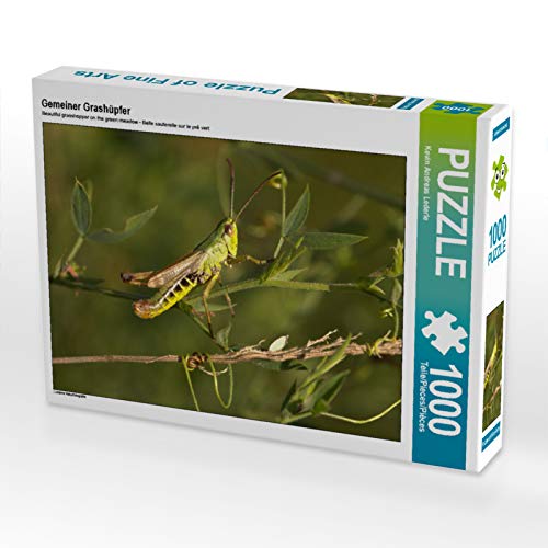 CALVENDO Puzzle Gemeiner Grashüpfer 1000 Teile Puzzle quer | Lege-Größe cm Foto-Puzzle für glückliche Stunden von CALVENDO