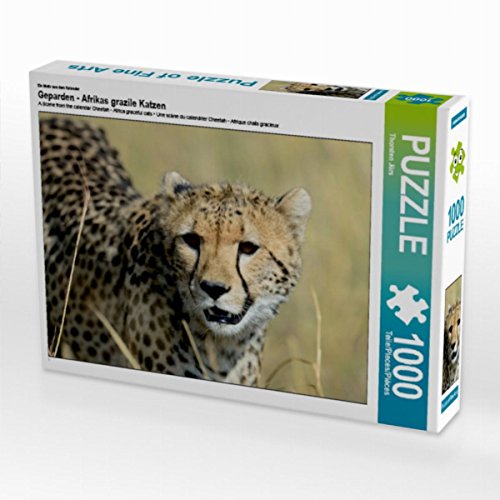 CALVENDO Puzzle Geparden - Afrikas grazile Katzen 1000 Teile Lege-Größe 64 x 48 cm Foto-Puzzle Bild von Thorsten Jürs CALVENDO Puzzle Geparden - Afrikas grazile Katzen 1000 Teile Lege-Größe 64 x 48 cm Foto-Puzzle Bild von Thorsten Jürs von CALVENDO