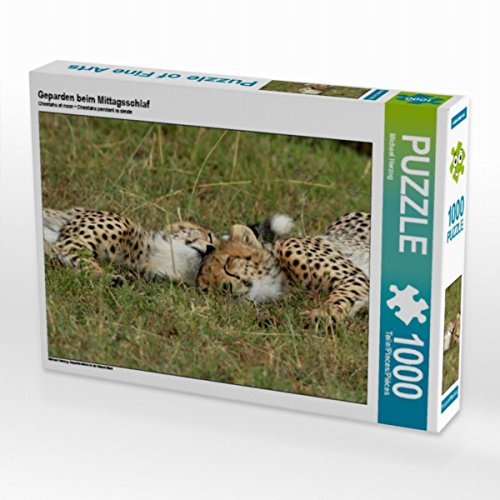 CALVENDO Puzzle Geparden beim Mittagsschlaf 1000 Teile Lege-Größe 64 x 48 cm Foto-Puzzle Bild von Michael Herzog CALVENDO Puzzle Geparden beim Mittagsschlaf 1000 Teile Lege-Größe 64 x 48 cm Foto-Puzzle Bild von Michael Herzog von CALVENDO