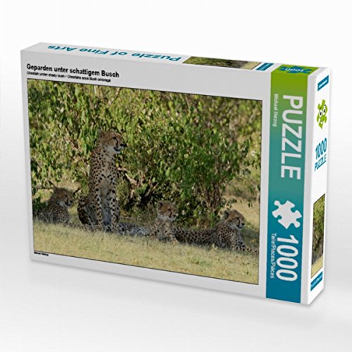 CALVENDO Puzzle Geparden unter schattigem Busch 1000 Teile Lege-Größe 64 x 48 cm Foto-Puzzle Bild von Michael Herzog CALVENDO Puzzle Geparden unter schattigem Busch 1000 Teile Lege-Größe 64 x 48 cm Foto-Puzzle Bild von Michael Herzog von CALVENDO