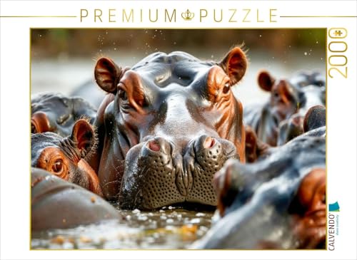 CALVENDO Puzzle Geselligkeit im Wasser | 2000 Teile Lege-Größe 90 x 67 cm Foto-Puzzle für glückliche Stunden von CALVENDO