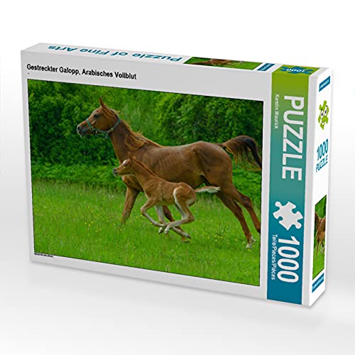 CALVENDO Puzzle Gestreckter Galopp, Arabisches Vollblut 1000 Teile Lege-Größe 64 x 48 cm Foto-Puzzle Bild von Kerstin Waurick CALVENDO Puzzle Gestreckter Galopp, Arabisches Vollblut 1000 Teile Lege-Größe 64 x 48 cm Foto-Puzzle Bild von Kerstin Waurick von CALVENDO