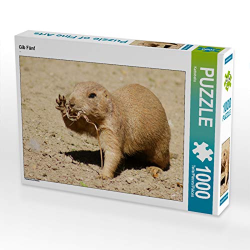 CALVENDO Puzzle Gib Fünf 1000 Teile Puzzle quer | 1000 Teile Lege-Größe 64 x 48 cm Foto-Puzzle für glückliche Stunden CALVENDO Puzzle Gib Fünf 1000 Teile Puzzle quer | 1000 Teile Lege-Größe 64 x 48 cm Foto-Puzzle für glückliche Stunden von CALVENDO