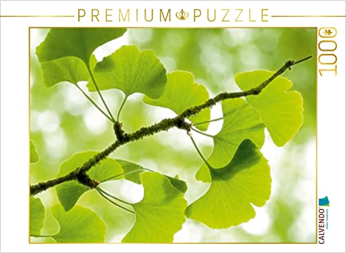 CALVENDO Puzzle Gingko biloba - der Heilige Baum 1000 Teile Puzzle quer | 1000 Teile Lege-Größe 64 x 48 cm Foto-Puzzle für glückliche Stunden von CALVENDO