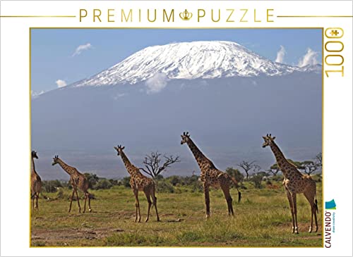 CALVENDO Puzzle Giraffen – Am Kilimanjaro 1000 Teile Puzzle quer | 1000 Teile Lege-Größe 64 x 48 cm Foto-Puzzle für glückliche Stunden von CALVENDO