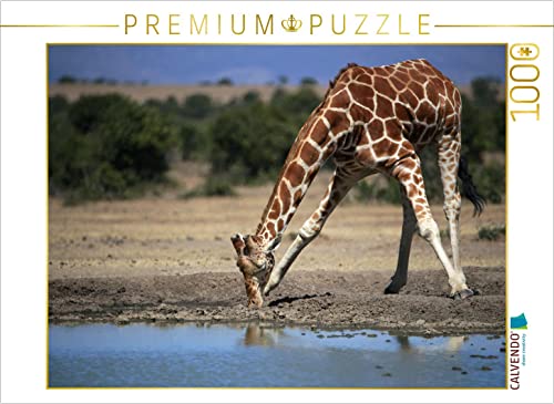 CALVENDO Puzzle Giraffen – Im Flussbett 1000 Teile Lege-Größe 64 x 48 cm Foto-Puzzle Bild von Michael Herzog von CALVENDO
